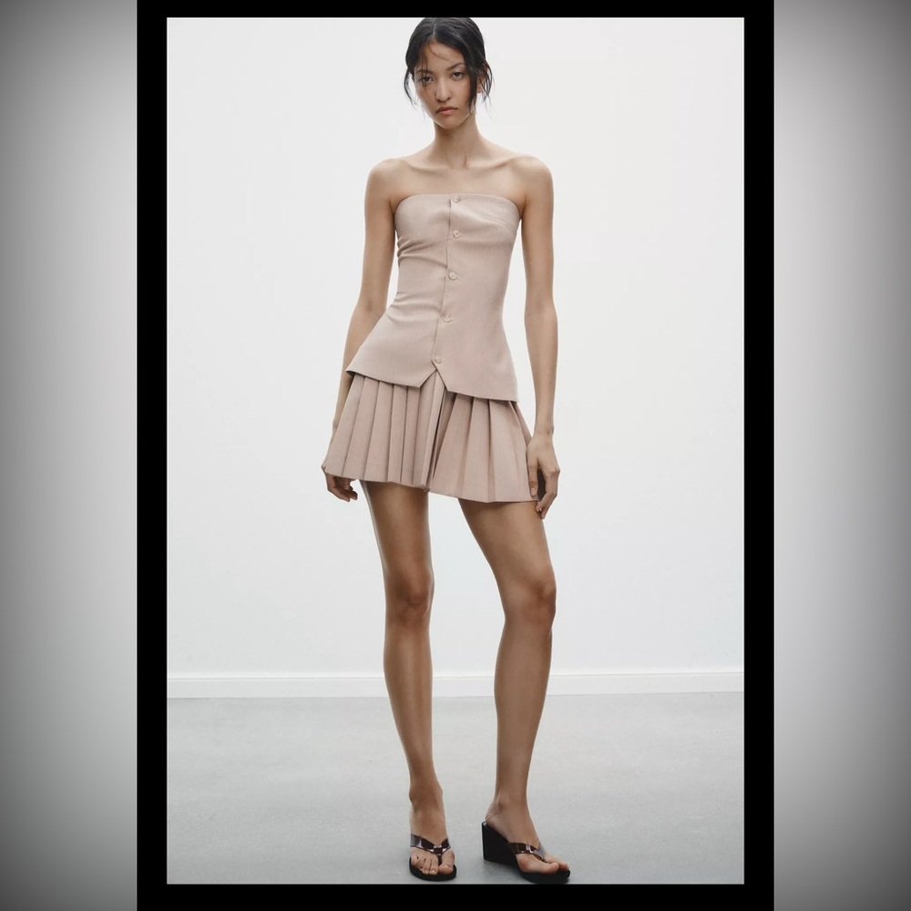 Zara Taupe Pinstripe Dress NWT
